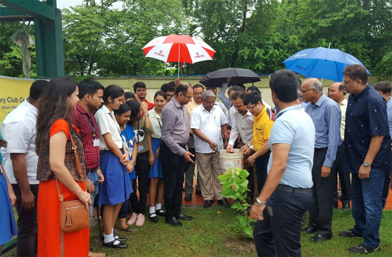 PLANT A TREE, PLANT A HOPE